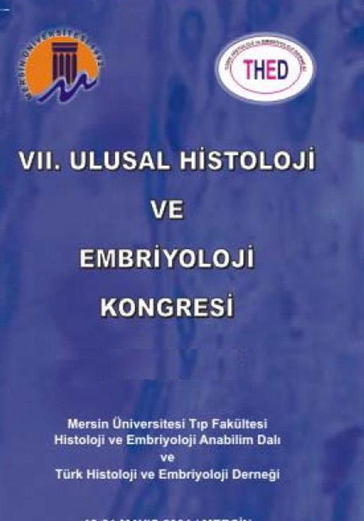 2004- MERSİN