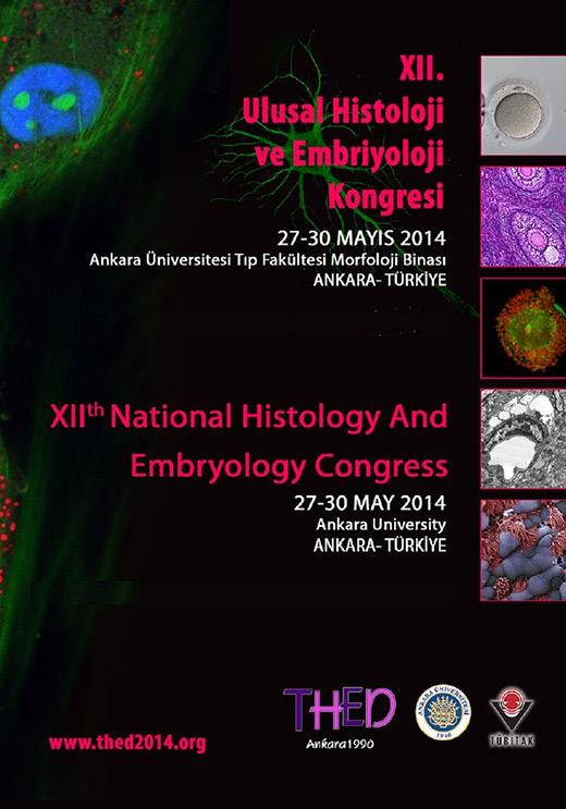 2014- ANKARA